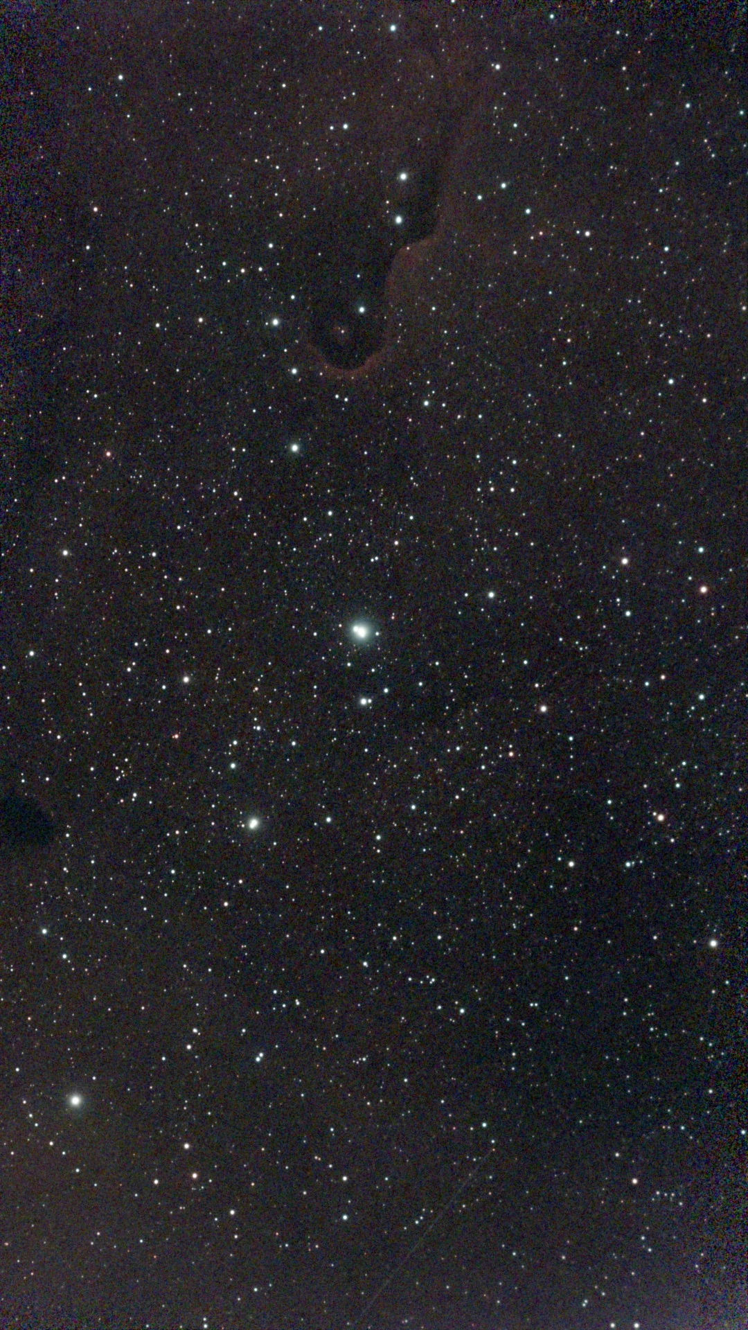 IC 1396, Elephant Trunk Nebula, observed 26 August 2026, 23:48