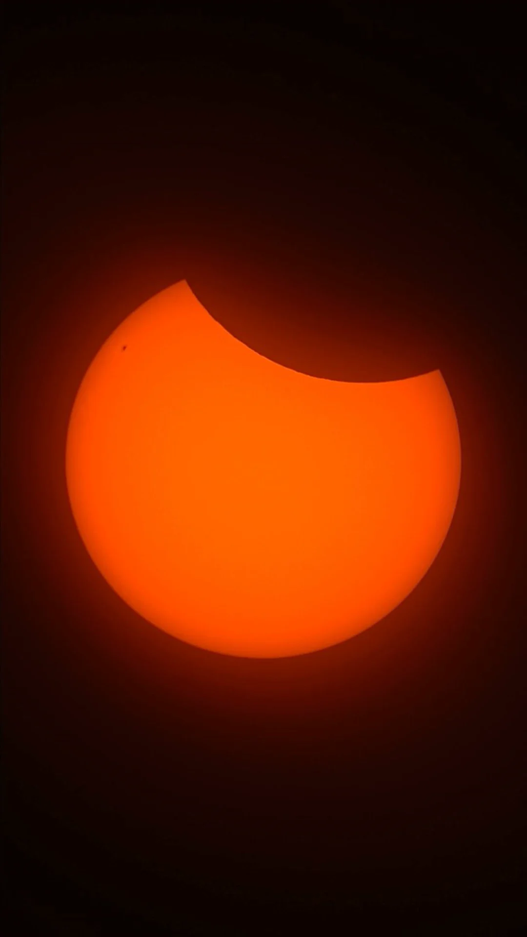 Partial solar eclipse photographed through the Seestar solar filter